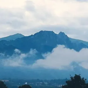 Wynajem Pokoi Goscinnych Bozenka Zakopane